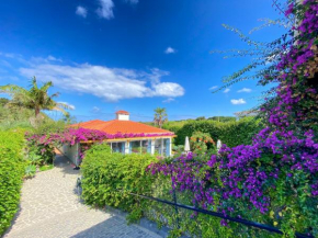 Terra Vivaz - Ribeira Cottage